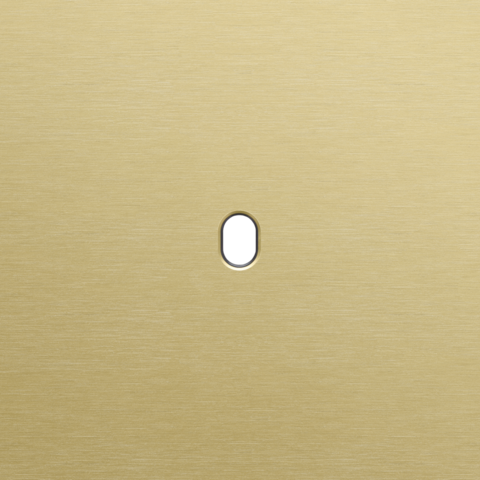 Enkelvoudige afdekplaat, voor enkelvoudige schakelfuncties,