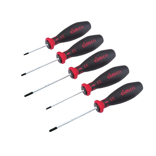 Torxschroevendraaier Set met Boorgat, 5-delig