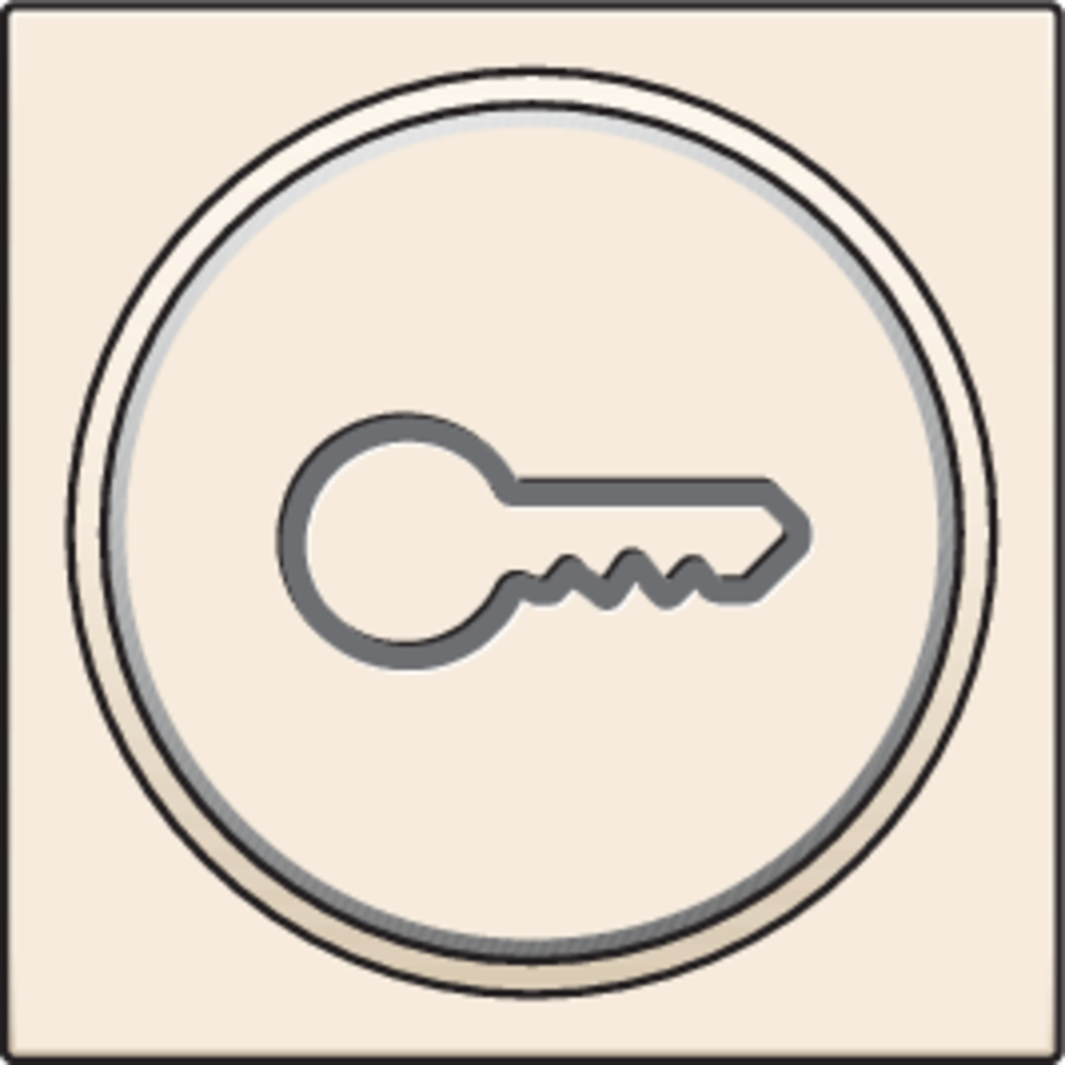 Niko 100-64009: Afwerkingsset met doorschijnende ring met sleutelsymbool voor drukknop 6A met amberkleurige led met E10-lampvoet, cream - Image 2