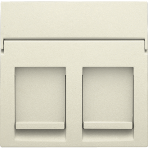 Niko 100-65200: Centraalplaat data 2x RJ, cream