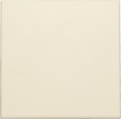 Niko 100-76901: Spuitwaterdichte blindplaat, cream