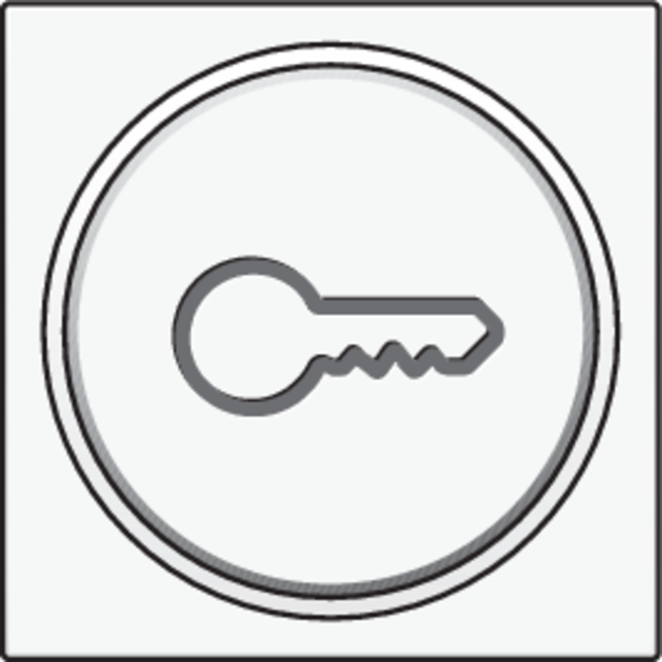 Niko 101-64009: Afwerkingsset met doorschijnende ring met sleutelsymbool voor drukknop 6A met amberkleurige led met E10-lampvoet, white - Image 2