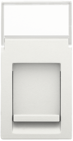 Aansluitmodule 22,5 x 45 voor het inpassen van een RJ-connec