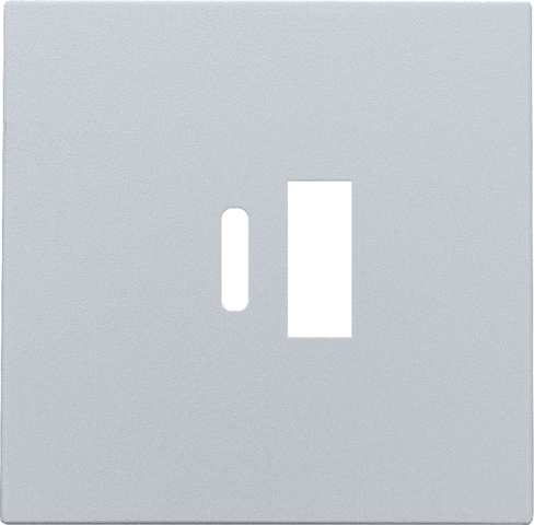 Afwerkingsset voor dubbele smart USB-A- en USB-C-lader, ster