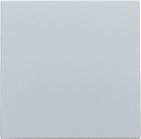 Niko 121-76901: Spuitwaterdichte blindplaat, sterling coated