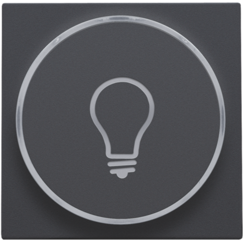 Afwerkingsset met doorschijnende ring met lampsymbool voor d