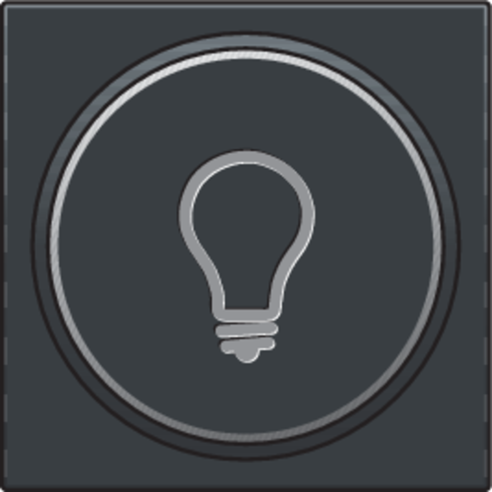 Niko 122-64008: Afwerkingsset met doorschijnende ring met lampsymbool voor drukknop 6A met amberkleurige led met E10-lampvoet, anthracite coated - Image 2