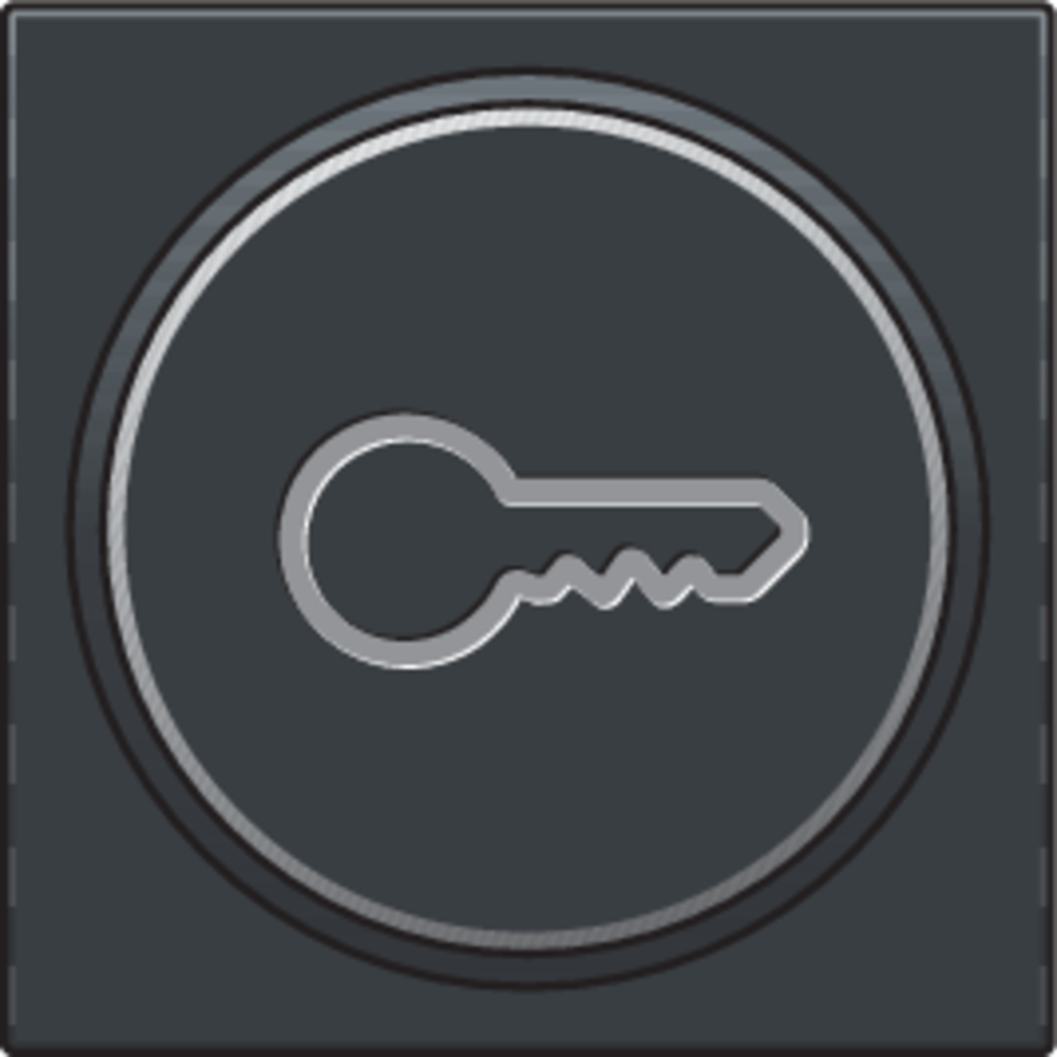 Niko 122-64009: Afwerkingsset met doorschijnende ring met sleutelsymbool voor drukknop 6A met amberkleurige led met E10-lampvoet, anthracite coated - Image 2