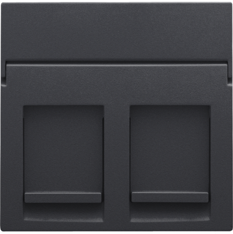 Niko 122-65200: Centraalplaat data 2x RJ, anthracite coated