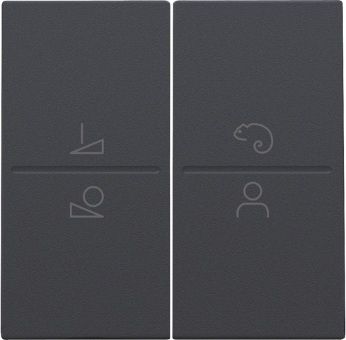 Afwerkingsset voor een draadloze schakelaar of een drukknop