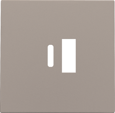 Afwerkingsset voor dubbele smart USB-A- en USB-C-lader, bron