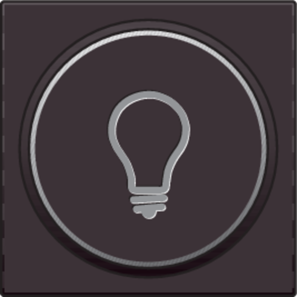 Niko 124-64008: Afwerkingsset met doorschijnende ring met lampsymbool voor drukknop 6A met amberkleurige led met E10-lampvoet, dark brown coated - Image 2