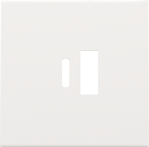 Afwerkingsset voor dubbele smart USB-A- en USB-C-lader, whit