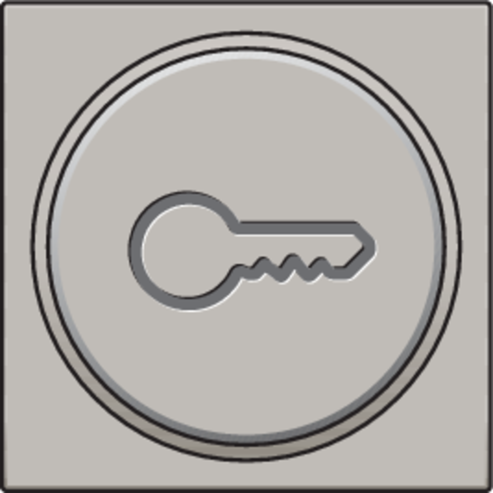 Niko 157-64009: Afwerkingsset met doorschijnende ring met sleutelsymbool voor drukknop 6A met amberkleurige led met E10-lampvoet, champagne coated - Image 2