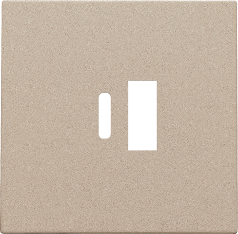 Afwerkingsset voor dubbele smart USB-A- en USB-C-lader, cham