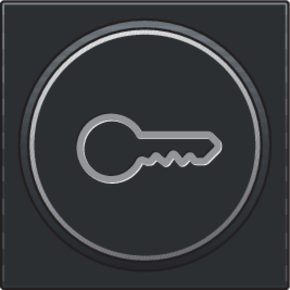 Niko 161-64009: Afwerkingsset met doorschijnende ring met sleutelsymbool voor drukknop 6A met amberkleurige led met E10-lampvoet, black coated - Image 2