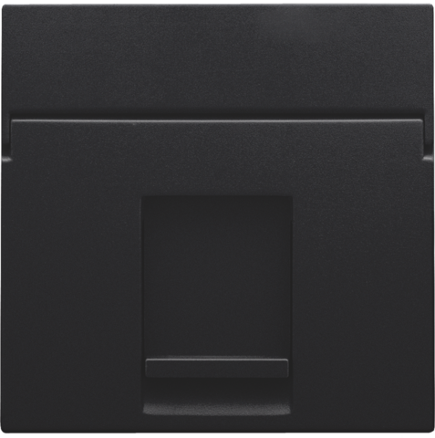 Niko 161-65100: Centraalplaat data 1x RJ, black coated