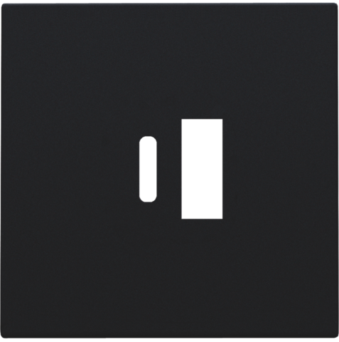 Afwerkingsset voor dubbele smart USB-A- en USB-C-lader, blac