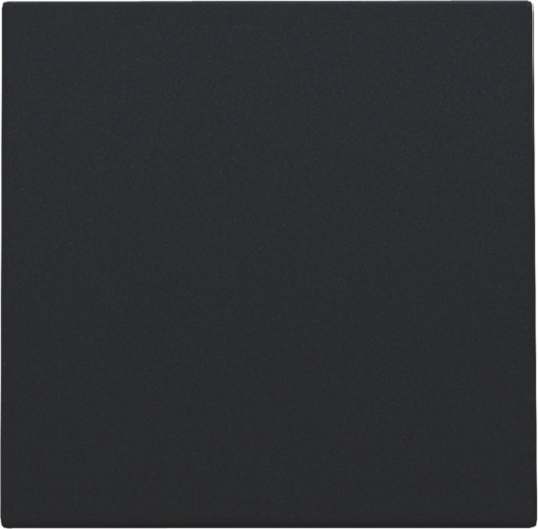 Niko 161-76901: Spuitwaterdichte blindplaat, black coated