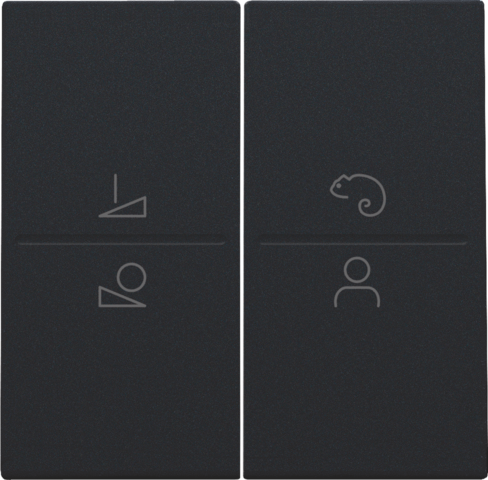 Afwerkingsset voor een draadloze schakelaar of een drukknop