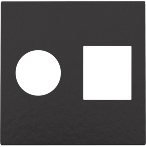 Afwerkingsset voor enkelvoudige coaxaansluiting en netwerkaa