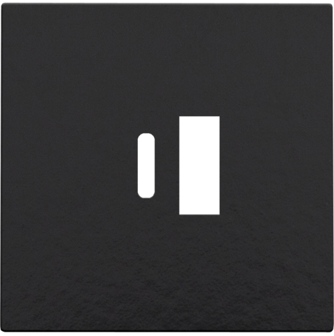 Afwerkingsset voor dubbele smart USB-A- en USB-C-lader, pian