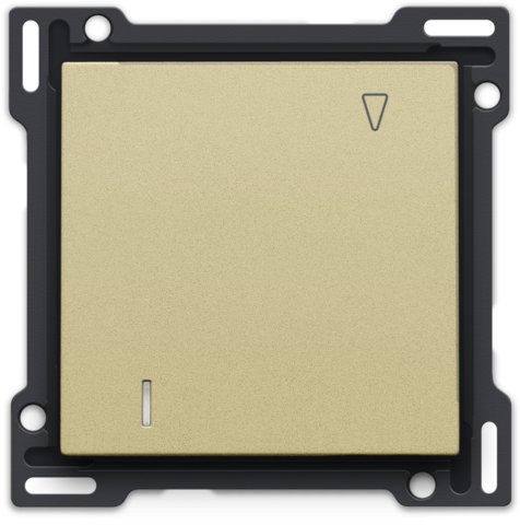 Hotelkaartschakelaar, sokkel, schroefklemmen en afwerkingsse