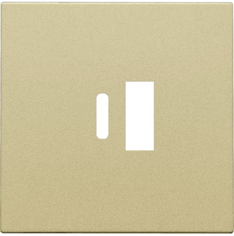 Afwerkingsset voor dubbele smart USB-A- en USB-C-lader, gold