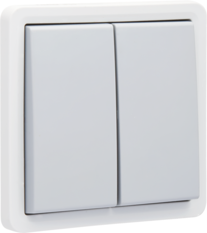 Niko 700-35000: Spuitwaterdichte, niet-verlichtbare dubbele drukknop 10 A/250 Vac met 2 N.O.- of N.G.-contacten, met schroefklemmen, grijs