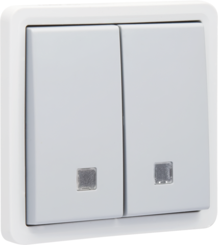 Niko 700-35100: Spuitwaterdichte, verlichtbare dubbele drukknop 10 A/250 Vac met 2 N.O.- of N.G.-contacten, met schroefklemmen, grijs