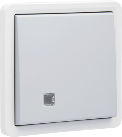 Niko 700-37205: Spuitwaterdichte tweepolige controleschakelaar 10 AX/250 Vac met transparant venster en met insteekklemmen, exclusief verlichtingselementen, grijs