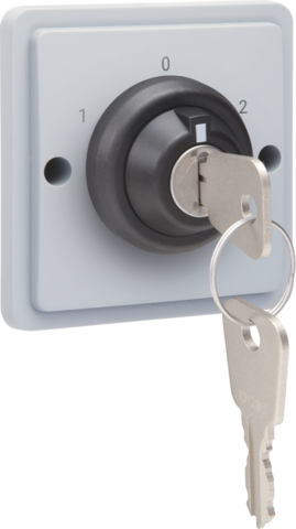 Niko 700-38800: Spuitwaterdichte sleutelschakelaar 16 A met schroefklemmen, grijs